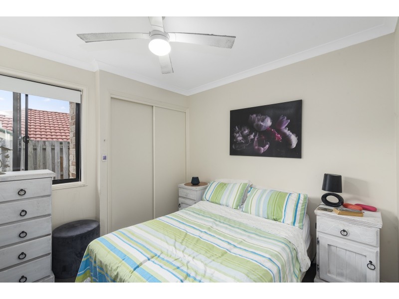 17 Amberwood Drive, Upper Coomera QLD 4209