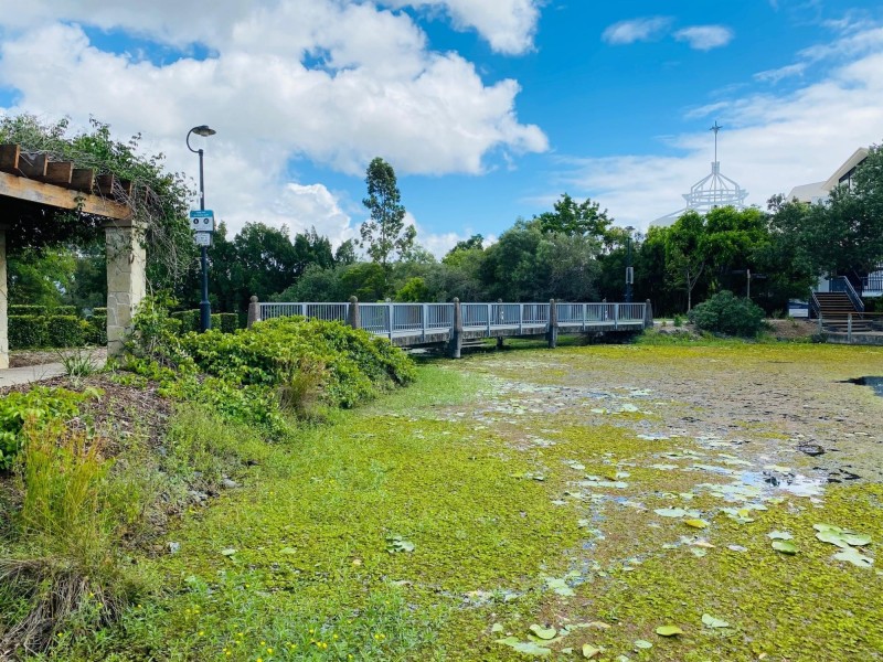 1/38 Riverwalk Avenue, Robina QLD 4226