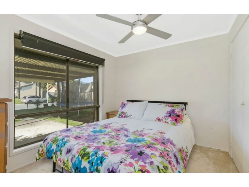 35 Razorbill Street, Burleigh Waters QLD 4220