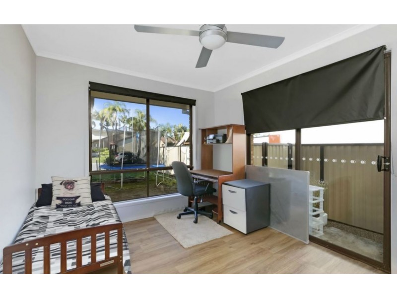 35 Razorbill Street, Burleigh Waters QLD 4220
