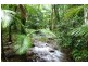 Lot 74 Mt Cougall Road, Tallebudgera Valley QLD 4228