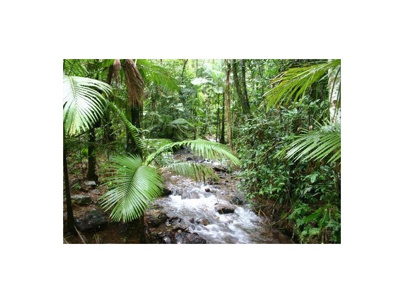 Lot 74 Mt Cougall Road, Tallebudgera Valley QLD 4228
