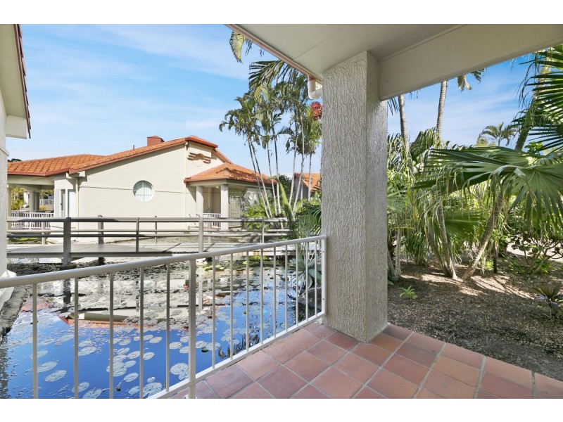 41/24 Ron Penhaligon Way, Robina QLD 4226