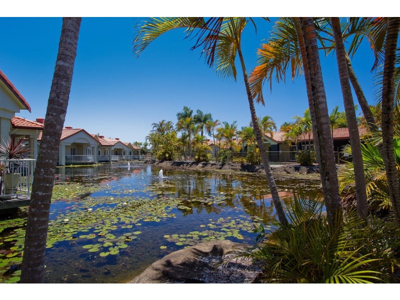 41/24 Ron Penhaligon Way, Robina QLD 4226