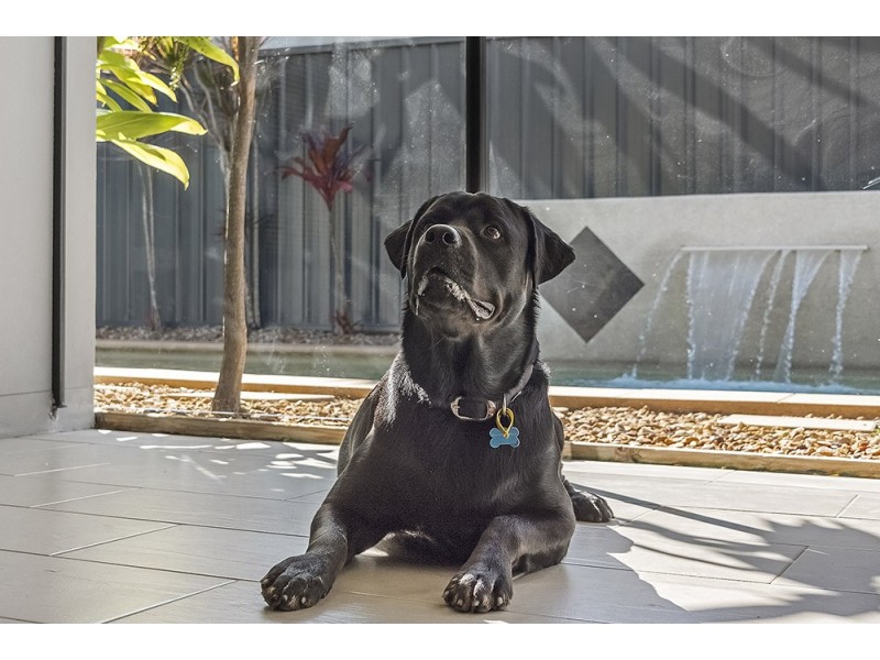 37 Gerona Circuit, Varsity Lakes QLD 4227