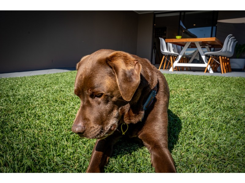 2/8 Wagtail Court, Burleigh Waters QLD 4220