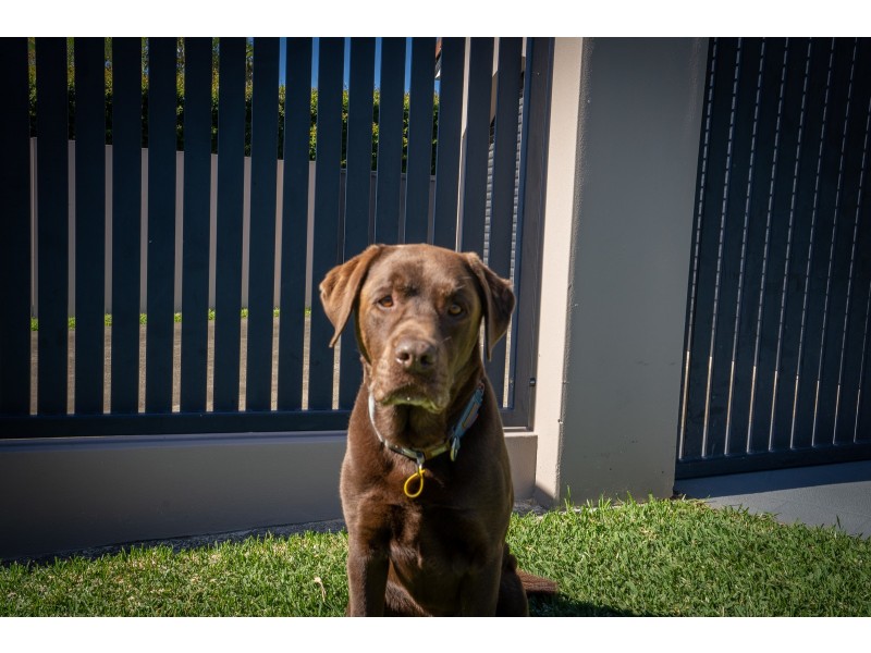 2/8 Wagtail Court, Burleigh Waters QLD 4220