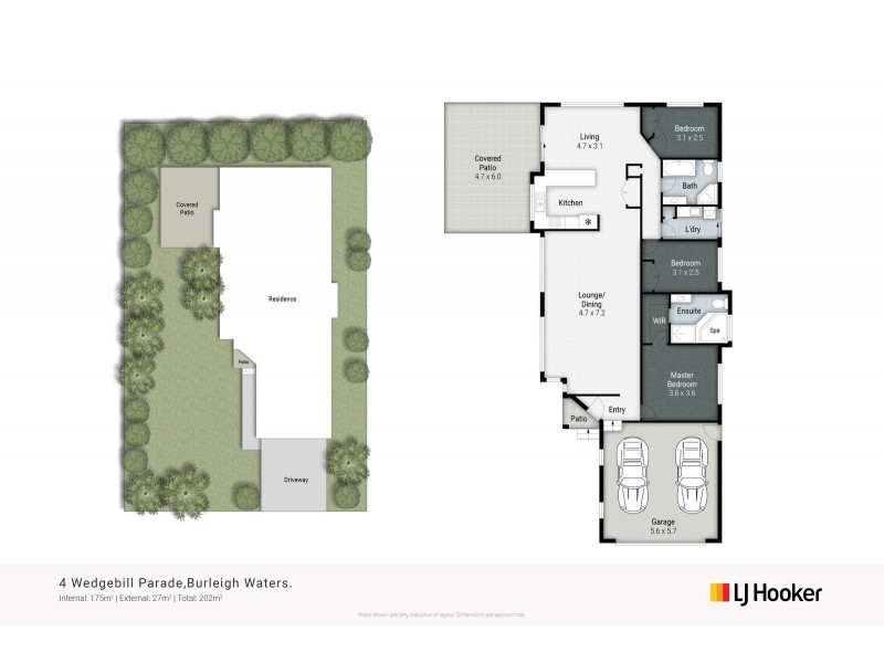4 Wedgebill Parade, Burleigh Waters QLD 4220 Floorplan