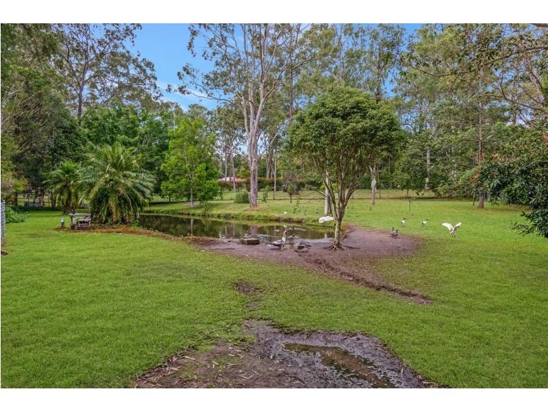 21 Mirambeena Drive, Pimpama QLD 4209