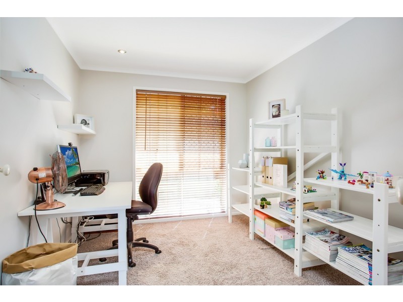 3 Pinnacle Court, Robina QLD 4226