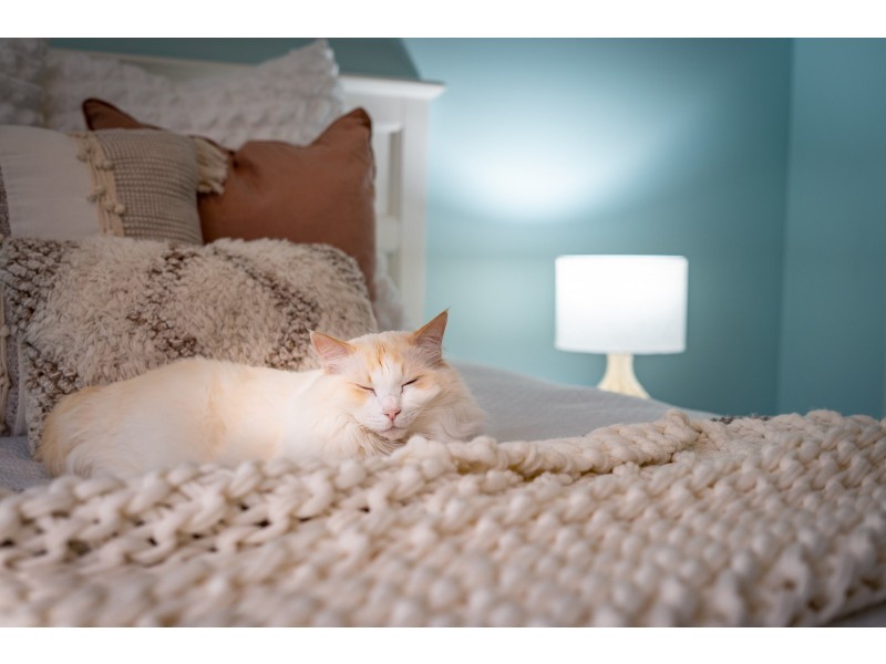 10 Hillridge Crescent, Varsity Lakes QLD 4227