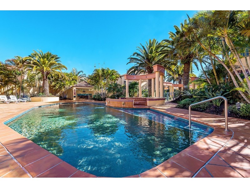 41/206 Cheltenham Drive, Robina QLD 4226