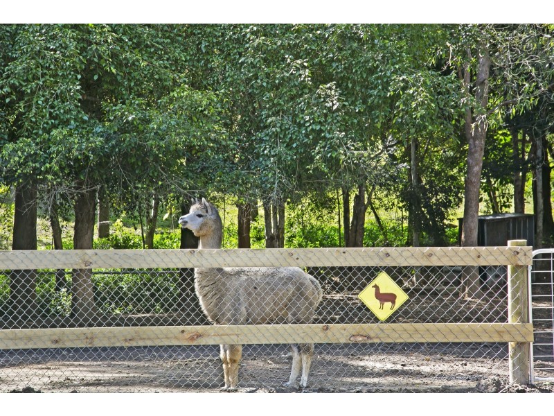 406 Tallebudgera Creek Road, Tallebudgera Valley QLD 4228