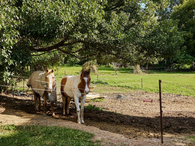 10 & 12 Tyalla Court, Tallebudgera QLD 4228