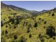 Lot 151/737B Illinbah Road, Illinbah QLD 4275