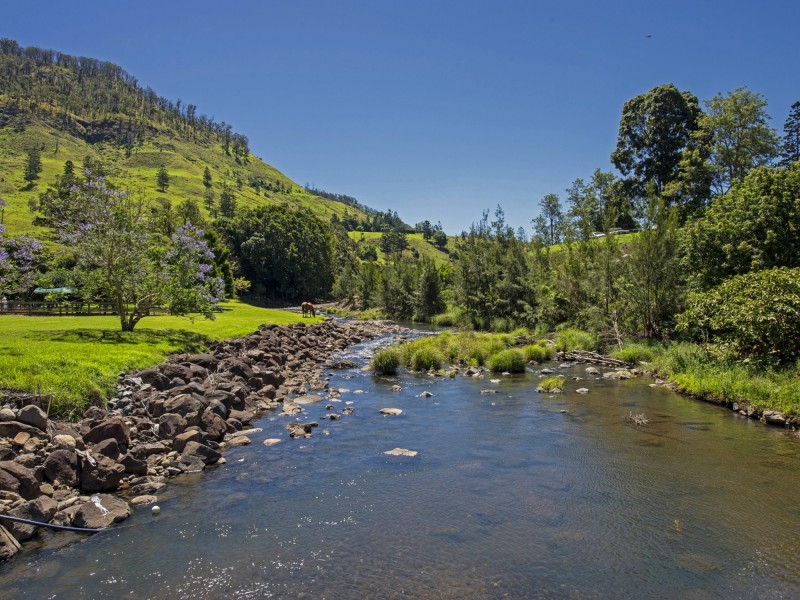 Lot 151/737B Illinbah Road, Illinbah QLD 4275