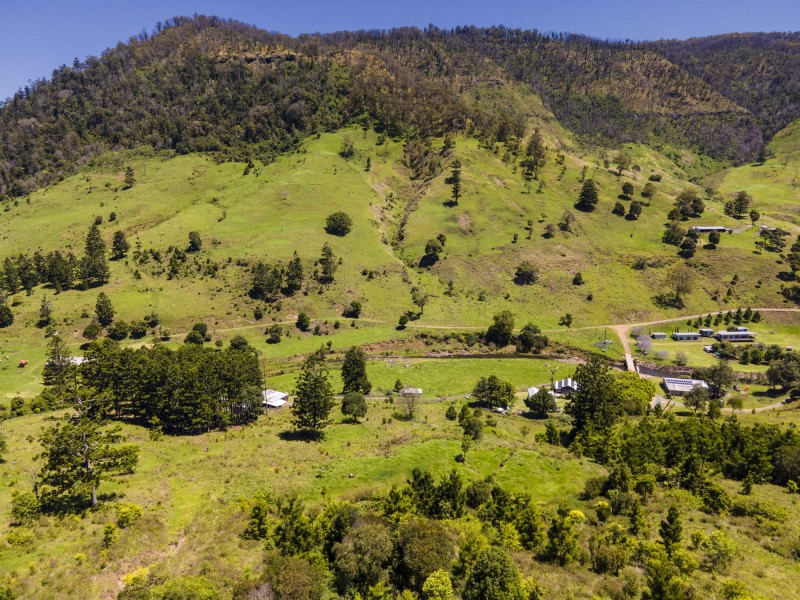 Lot 151/737B Illinbah Road, Illinbah QLD 4275