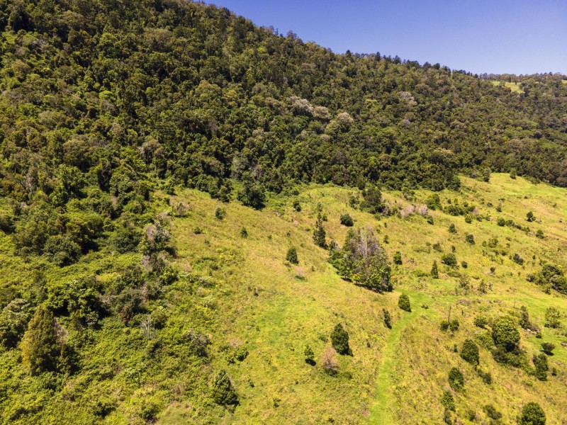 Lot 151/737B Illinbah Road, Illinbah QLD 4275