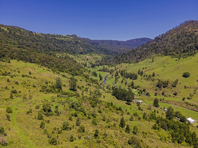 Lot 151/737B Illinbah Road, Illinbah QLD 4275