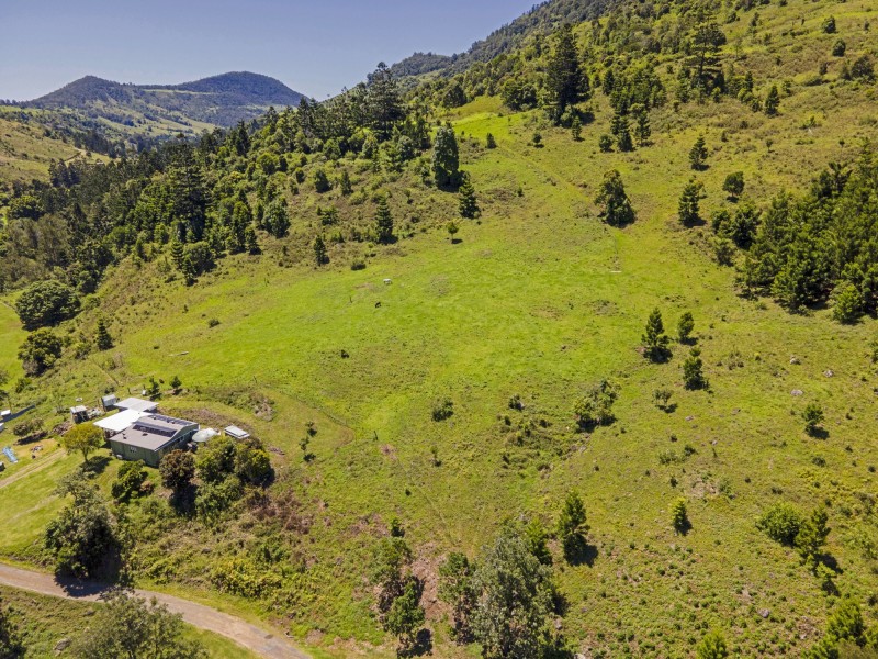 Lot 151/737B Illinbah Road, Illinbah QLD 4275