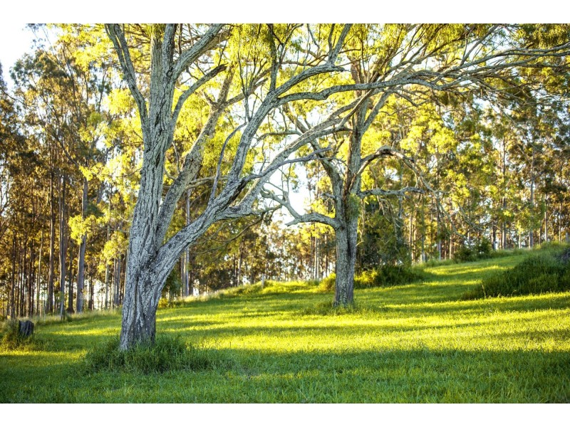 Lot 17/121 Robson Road, Boonah QLD 4310