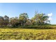 Lot 17/121 Robson Road, Boonah QLD 4310