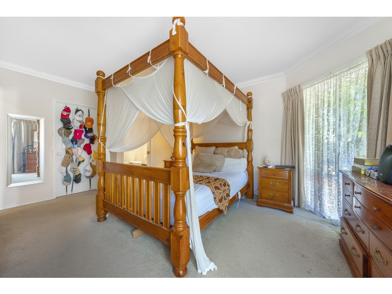 41 Stanfield Drive, Upper Coomera QLD 4209