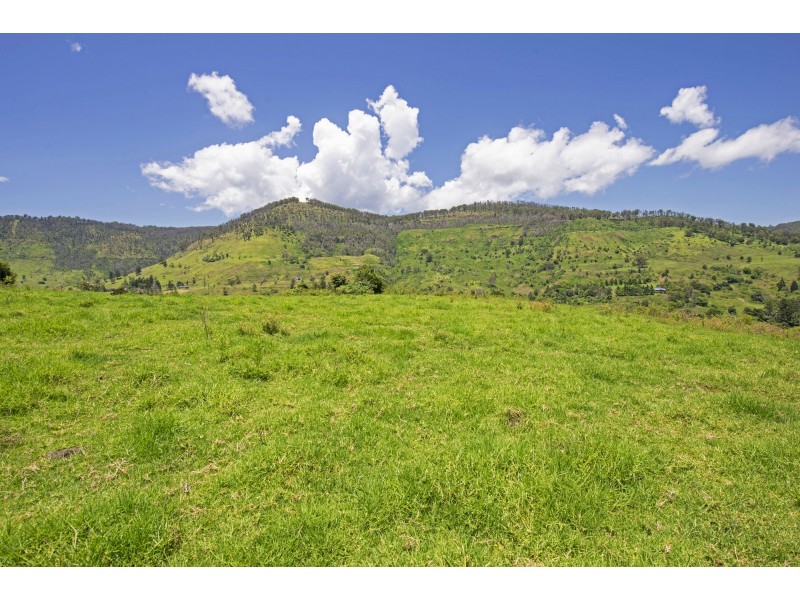 Lot 12/565 Illinbah Road, Illinbah QLD 4275