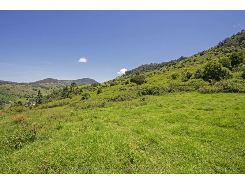 Lot 12/565 Illinbah Road, Illinbah QLD 4275