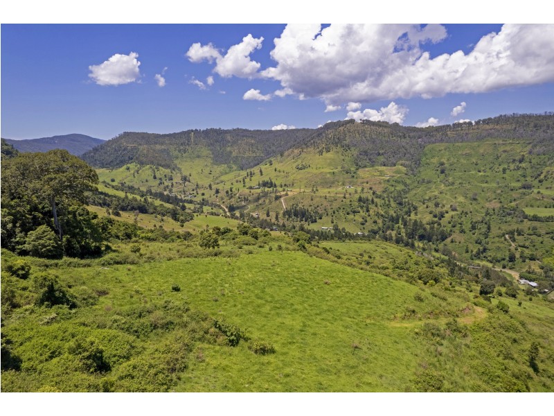 Lot 12/565 Illinbah Road, Illinbah QLD 4275