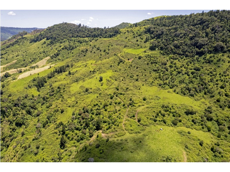 Lot 11/565 Illinbah Road, Illinbah QLD 4275