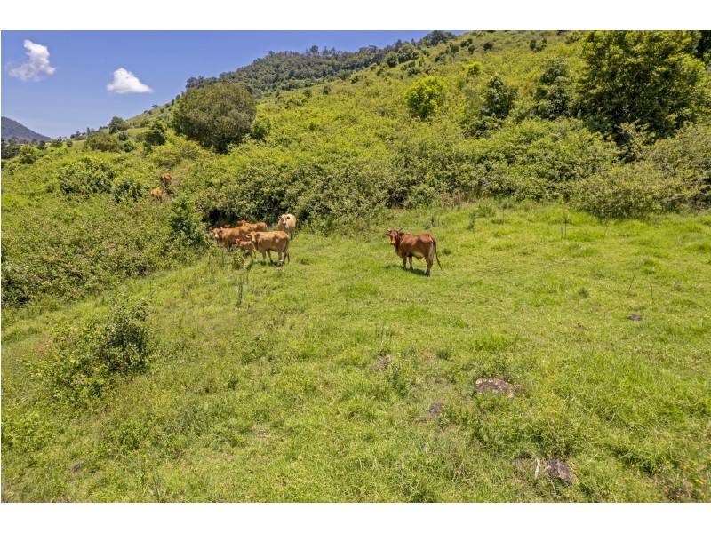 Lot 11/565 Illinbah Road, Illinbah QLD 4275