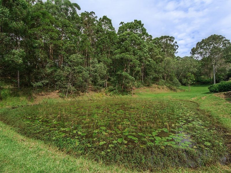 353 San Fernando Drive, Worongary QLD 4213