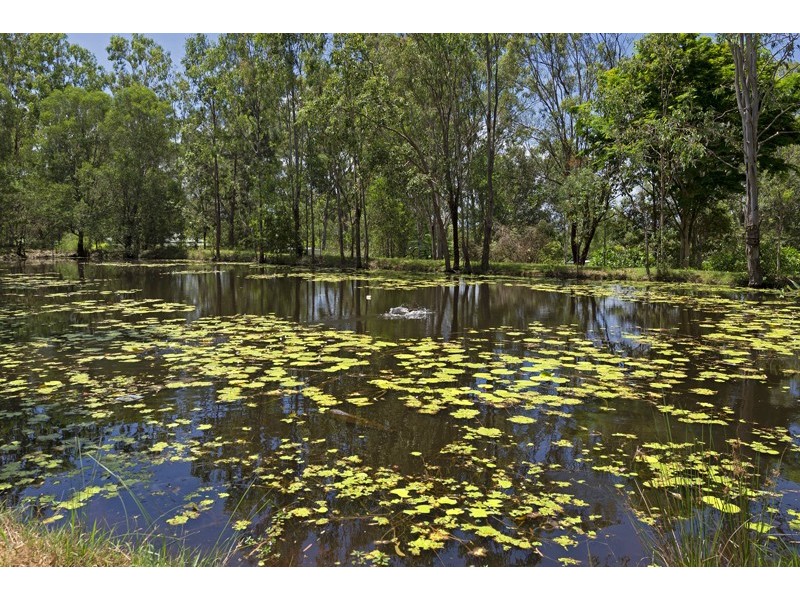 7-11 Carlie Court, Tamborine QLD 4270