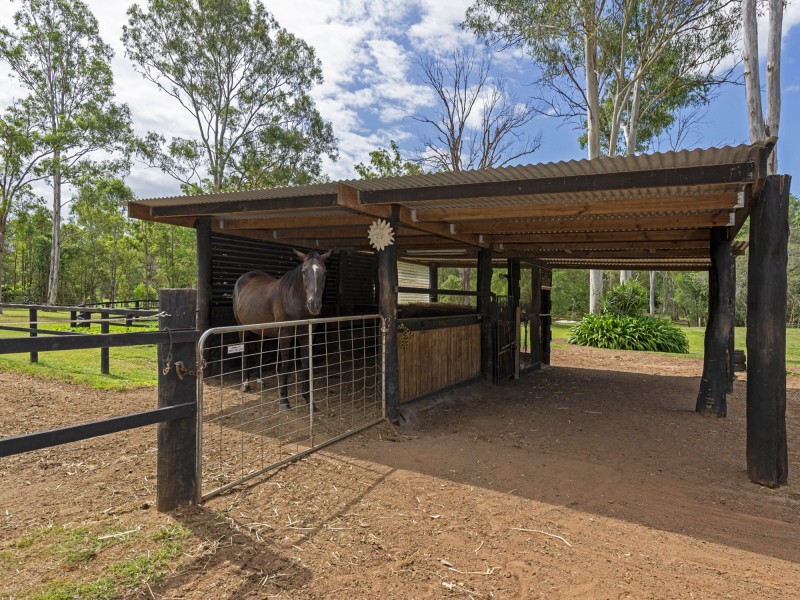 106 Verbena Road, Tamborine QLD 4270