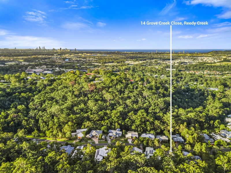14 Grove Creek Close, Reedy Creek QLD 4227