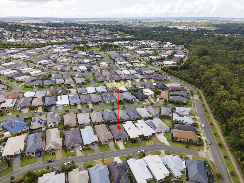 9 Collie Crescent, Ormeau Hills QLD 4208