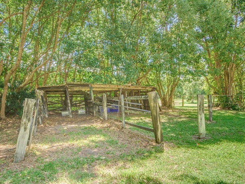 10 Terrania Court, Tallebudgera QLD 4228