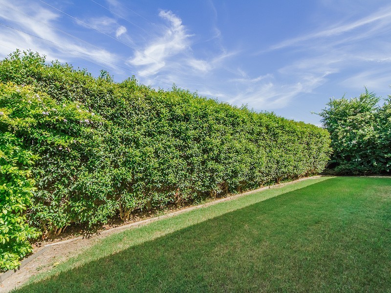 2/5 Abbeytree Court, Robina QLD 4226