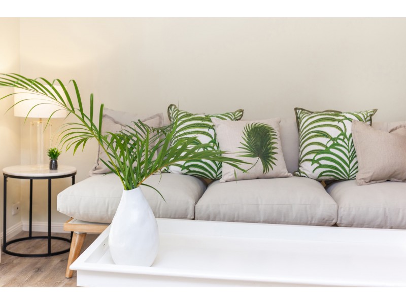 36 Tipuana Drive, Elanora QLD 4221