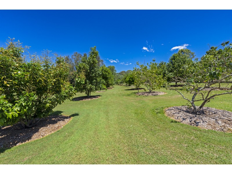 127-137 Larch Road, Tamborine QLD 4270