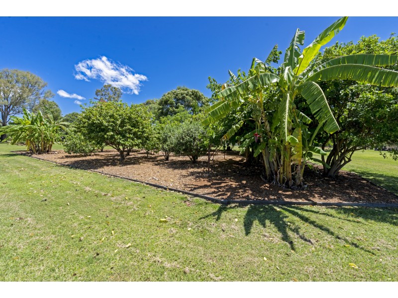 127-137 Larch Road, Tamborine QLD 4270