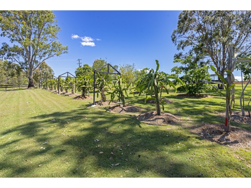 127-137 Larch Road, Tamborine QLD 4270