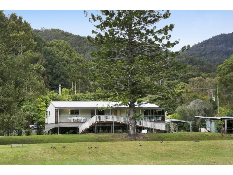 966 Tallebudgera Creek Road, Tallebudgera Valley QLD 4228