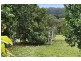 966 Tallebudgera Creek Road, Tallebudgera Valley QLD 4228