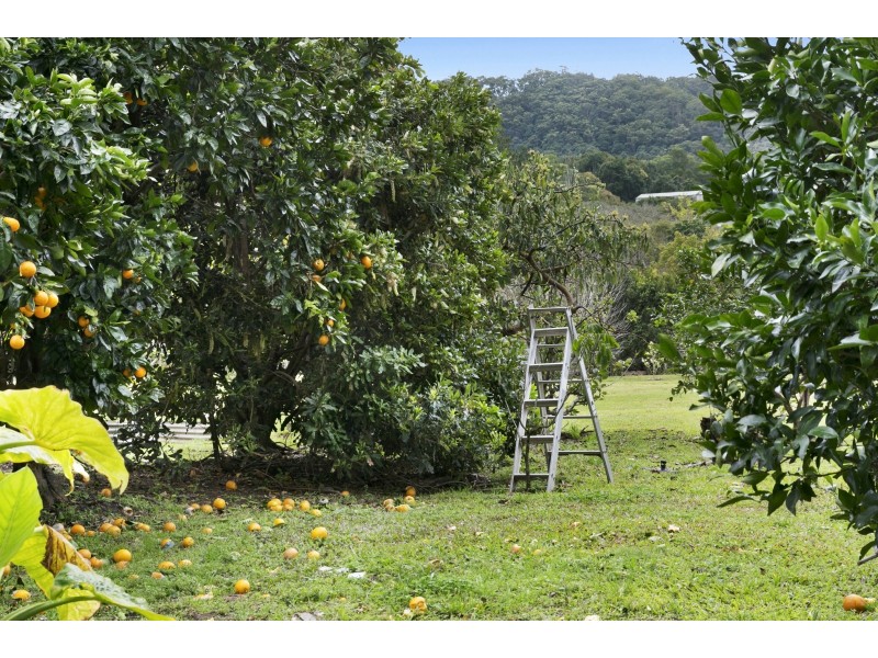 966 Tallebudgera Creek Road, Tallebudgera Valley QLD 4228