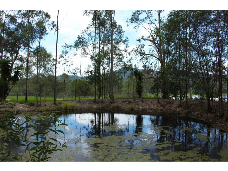 Cedar Creek QLD 4207