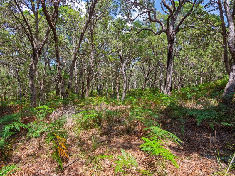 6509 – Mcc Island Street, South Stradbroke QLD 4216