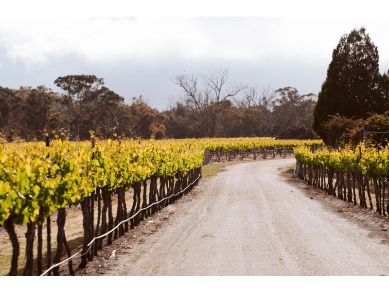 23 Turner Road, Severnlea QLD 4380