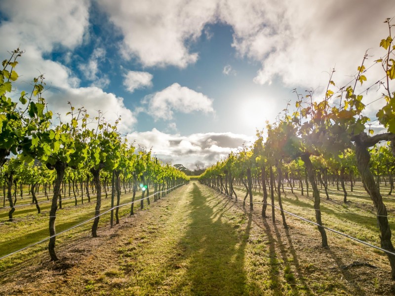 23 Turner Road, Severnlea QLD 4380